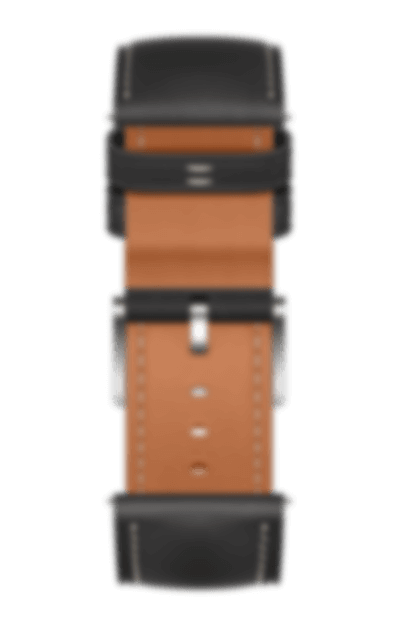 HUAWEI EasyFit 表带 颜色