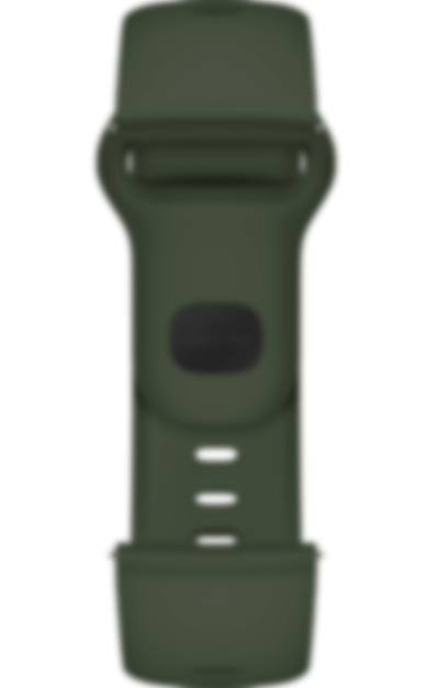 HUAWEI EasyFit 表带 颜色