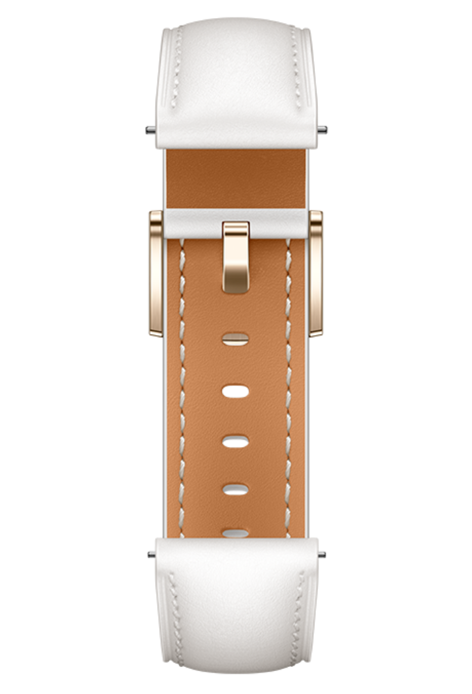 HUAWEI WATCH GT 4 表带颜色