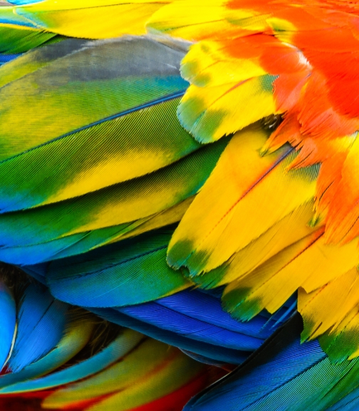 HUAWEI MateBook E-colour modes