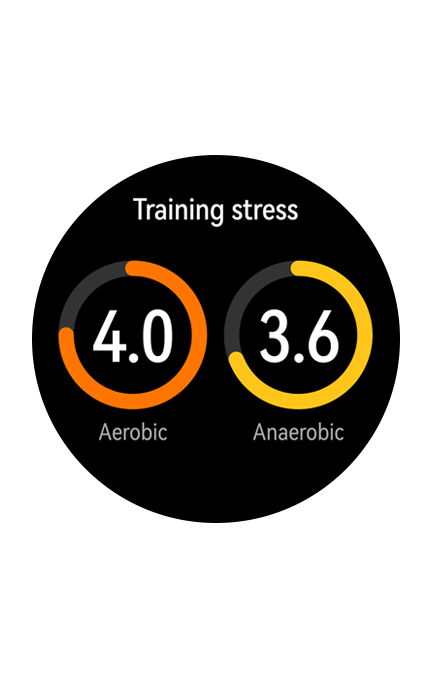 HUAWEI WATCH GT2 Smart Workout Partner
