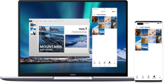 HUAWEI MateBook 14 2021 Huawei Share