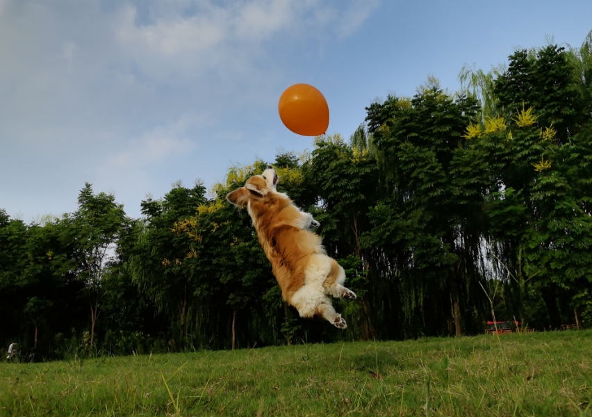 Photos taken by HUAWEI nova 13 Pro, demonstrating adjustable aperture