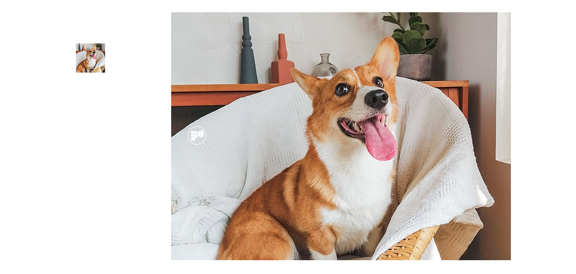 huawei p40 lite e-ai photography