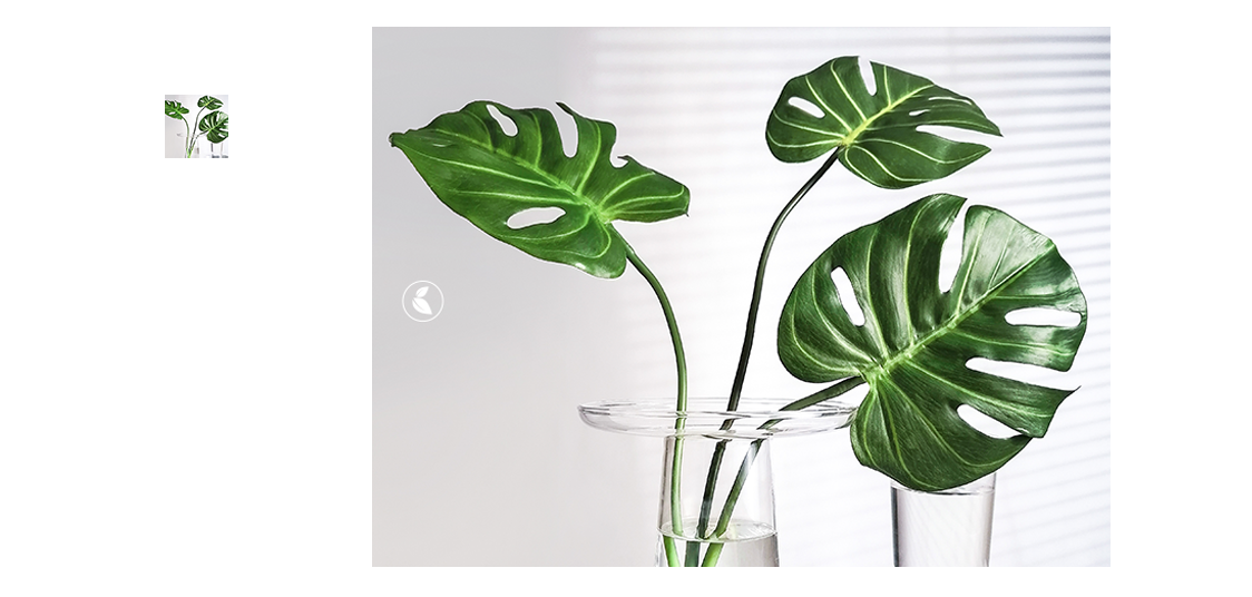huawei p40 lite e-ai photography