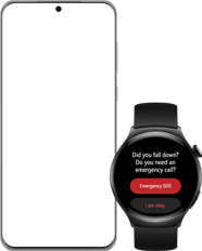 HUAWEI WATCH 4 Family Care