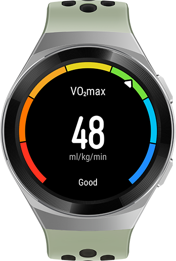 HUAWEI WATCH GT 2e professional workout data vo2max