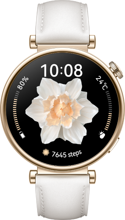 HUAWEI WATCH GT 4 watch face
