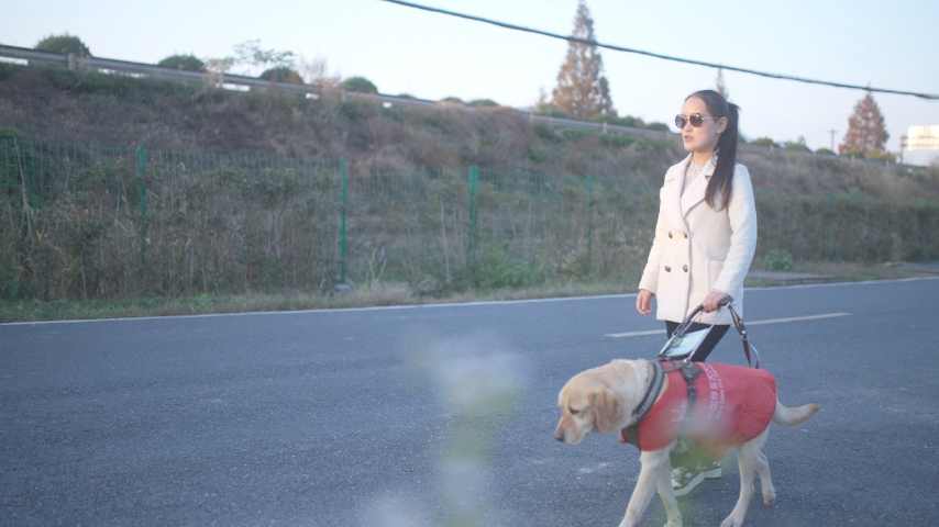 Information Accessibility Helps People with Disabilities
