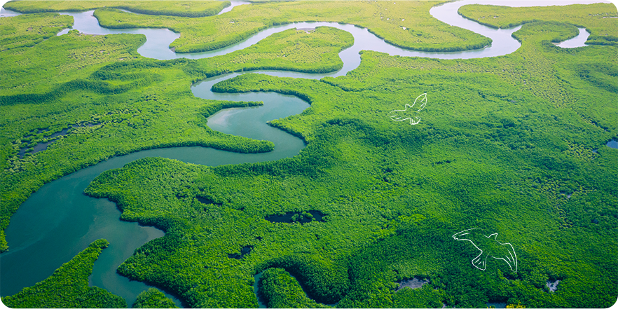 Environmental Protection