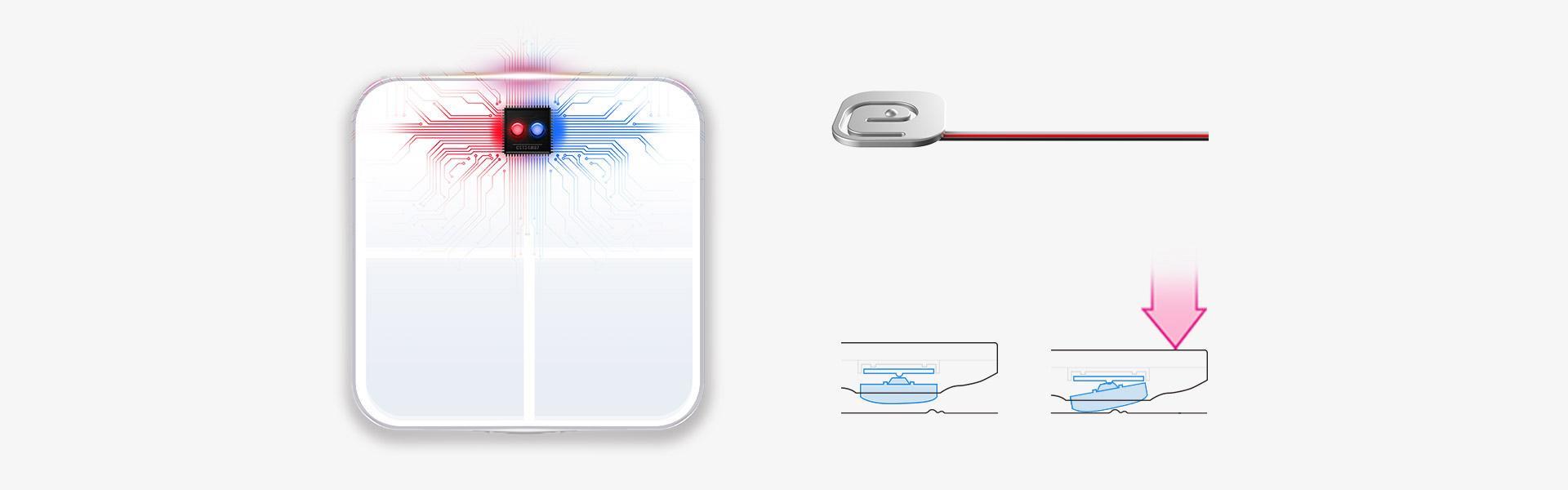 Diseñado al detalle, medición adecuada