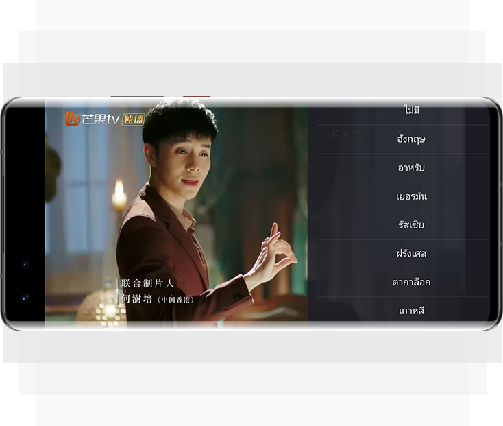 Multilingual subtitles